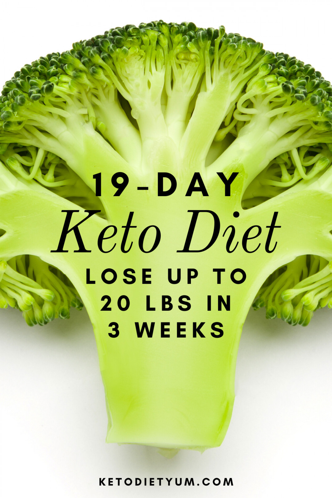 19 Days Keto Diet Plan
 19 Day Keto Diet Plan for Beginners Weight Loss Yummy