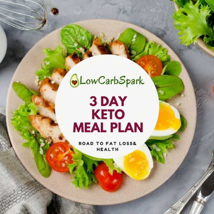 3 Days Keto Diet Plan
 3 day FREE Keto Meal Plan for Beginner with Macros and Recipes