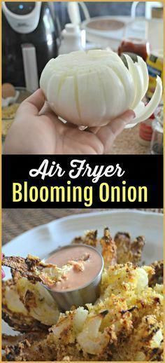 Air Fryer Keto Blooming Onion
 Air Fryer Blooming ion Recipe Anastasia Keto