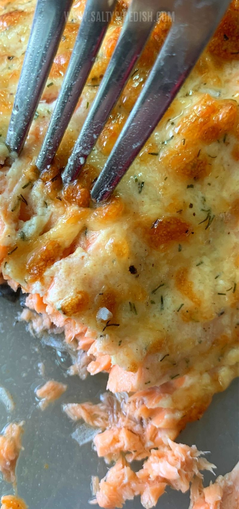 Air Fryer Salmon Keto
 Salmon Recipe in AIR FRYER with Parmesan Crust KETO