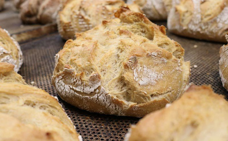 Carbs Sourdough Bread
 Carbs in Sourdough Bread – Why Sourdough Bread is one of