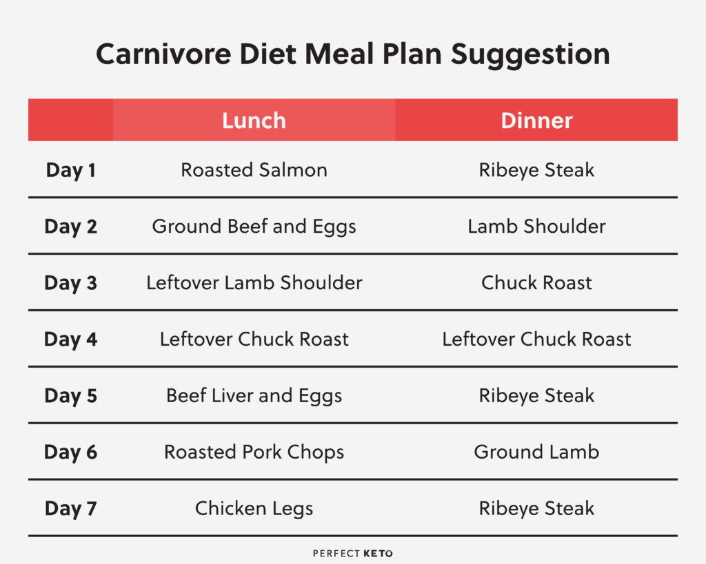 Carnivore Keto Diet Plan
 Carnivore Diet Meal Plan What To Eat a Carnivore Diet
