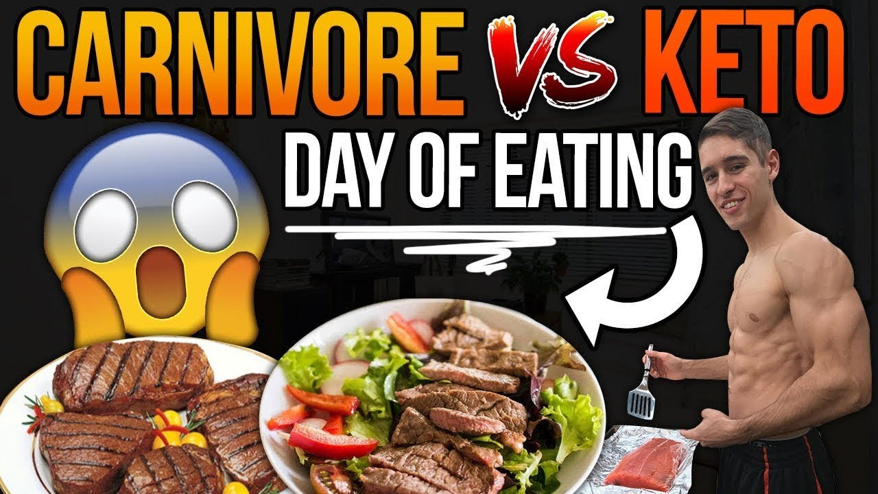Carnivore Keto Diet Plan
 CARNIVORE DIET VS KETO DAY OF EATING