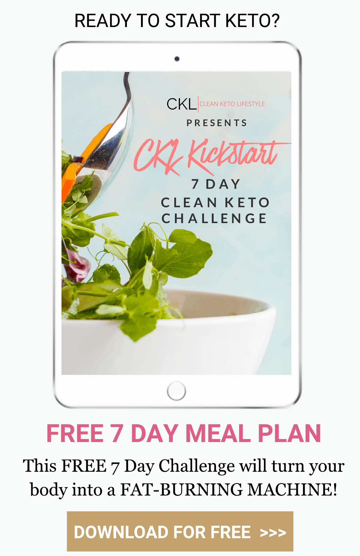 Clean Keto Meal Plan Recipes
 Clean Keto Lifestyle Keto Recipes Resources and Meal Plans