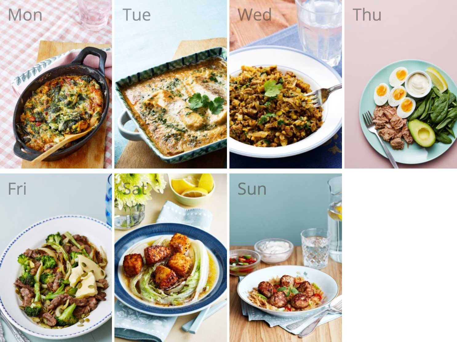 meal planner plus review