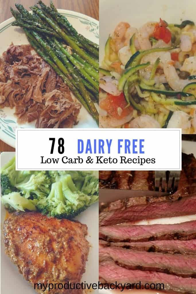 Dairy Free Keto Recipes Low Carb
 78 Dairy Free Low Carb Keto Recipes My Productive Backyard