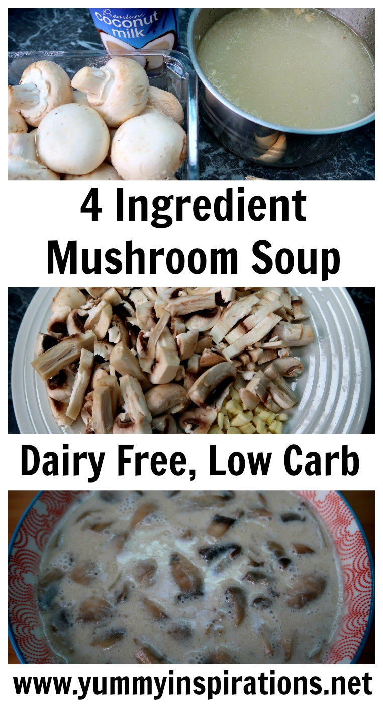 Dairy Free Keto Recipes Low Carb
 4 Ingre nt Mushroom Soup Recipe Dairy Free Low Carb