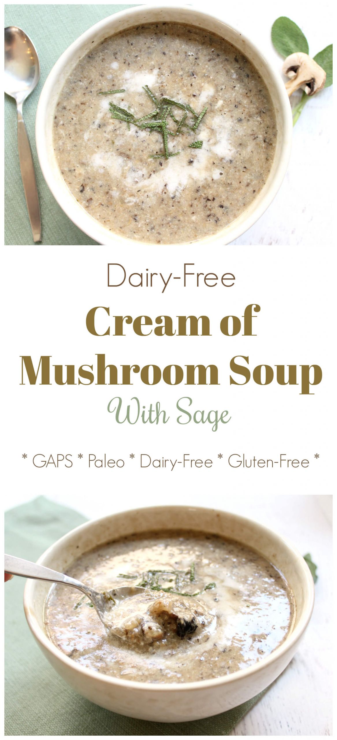 Dairy Free Keto Soup
 Swoon Worthy Dairy Free Cream of Mushroom Soup Recipe Keto