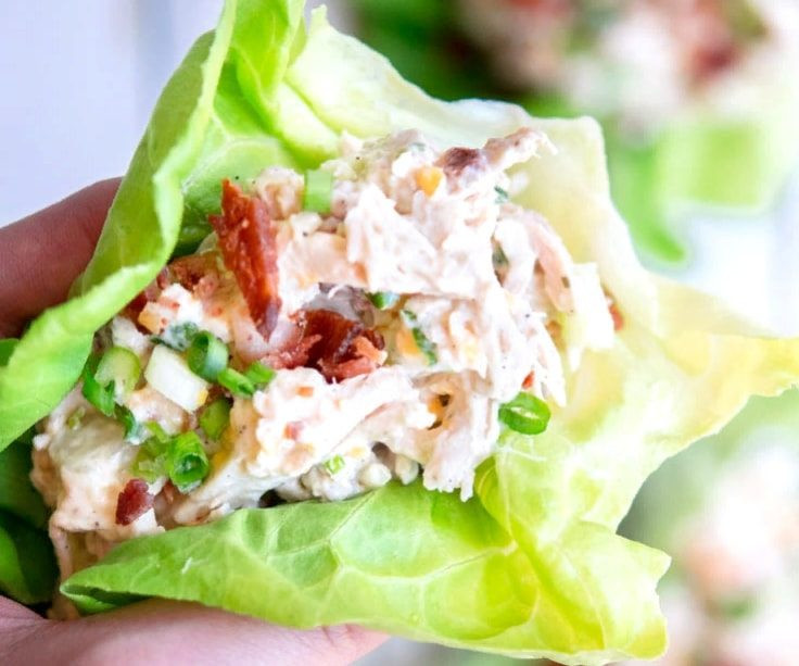 Easy Keto Chicken Salad
 30 Easy Keto Recipes To Try At Home Fitneass