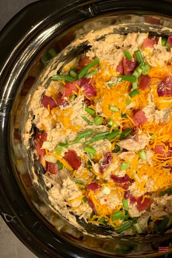 Frozen Chicken Crockpot Keto
 40 Keto Crockpot Recipes For Ketogenic Meal Planning