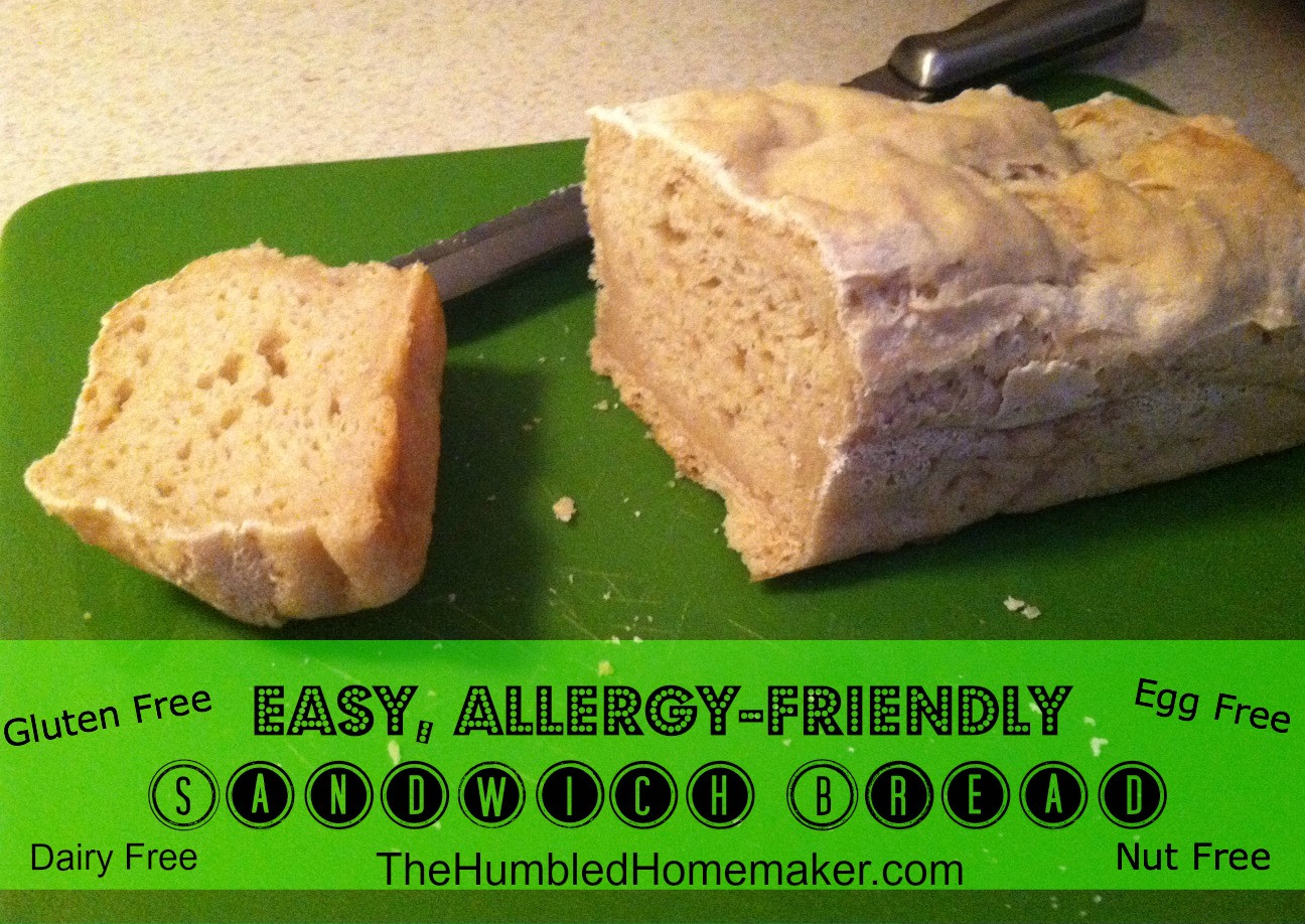 Gluten Free Bread Easy
 Easy Allergy Friendly Sandwich Bread Recipe gluten egg