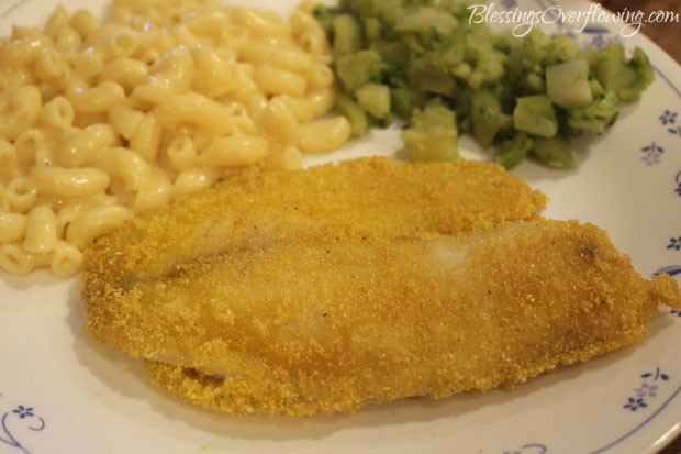 Gluten Free Breaded Fish
 Our Family s Favorite Recipes Gluten Free Breaded Fish