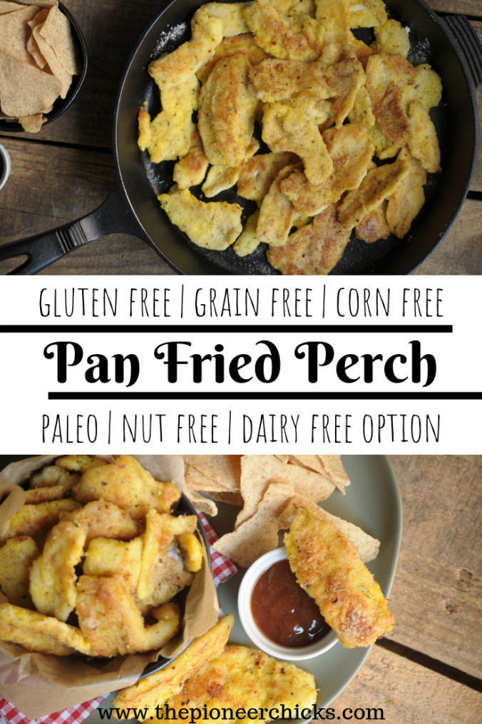 Grain Free Breaded Fish
 Breaded Perch Fillets grain free and nut free The