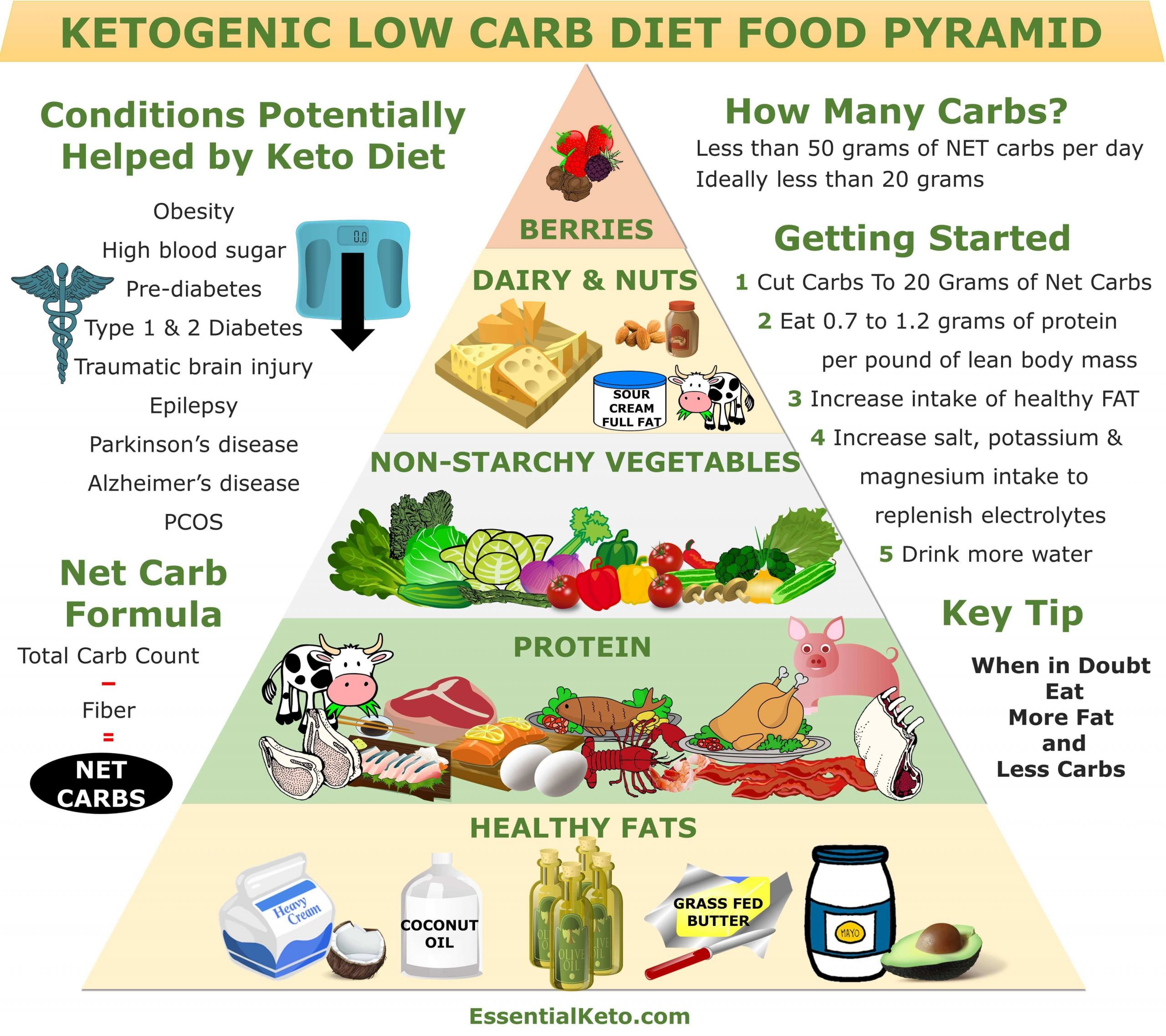 Healthy Keto Plan
 Keto Food Pyramid