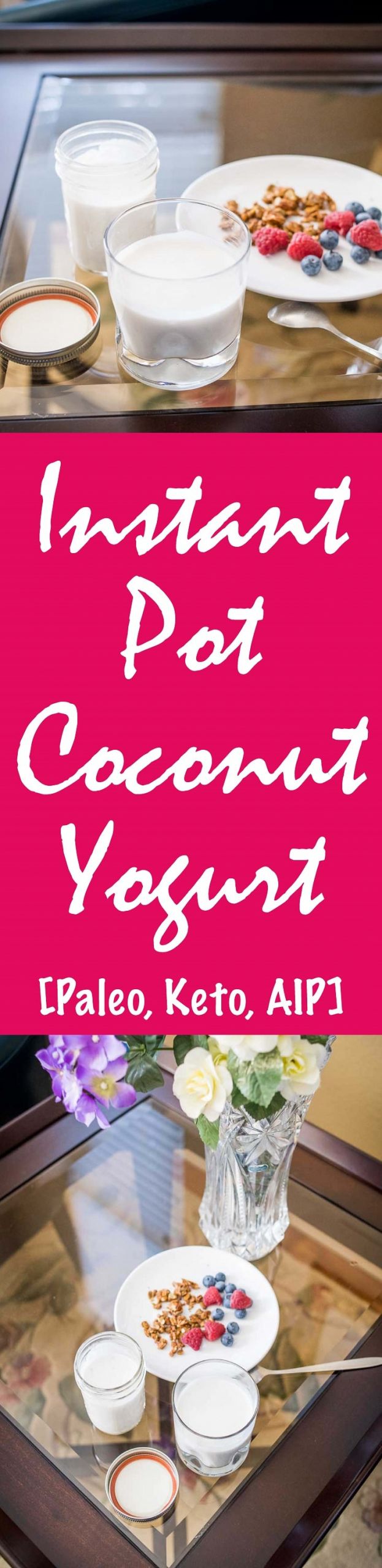 Instant Pot Keto Yogurt Recipes
 Instant Pot Coconut Yogurt Recipe [Paleo Keto AIP]