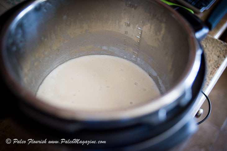 Instant Pot Keto Yogurt Recipes
 Instant Pot Coconut Yogurt Recipe [Paleo Keto AIP]