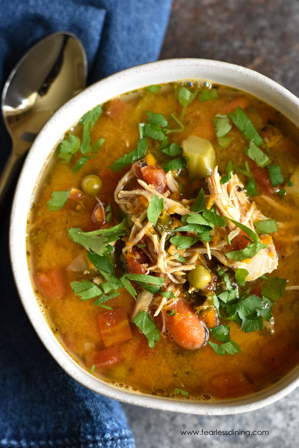 Instapot Keto Vegetable Soup
 Easy Keto Instant Pot Recipes Roundup of 29 Easy Keto