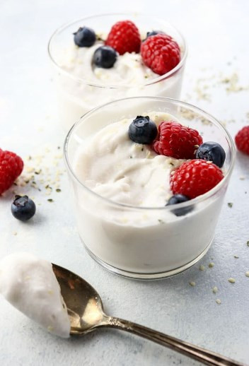 Instapot Keto Yogurt
 Instant Pot Keto Yogurt – The Keto Diet Recipe Cafe