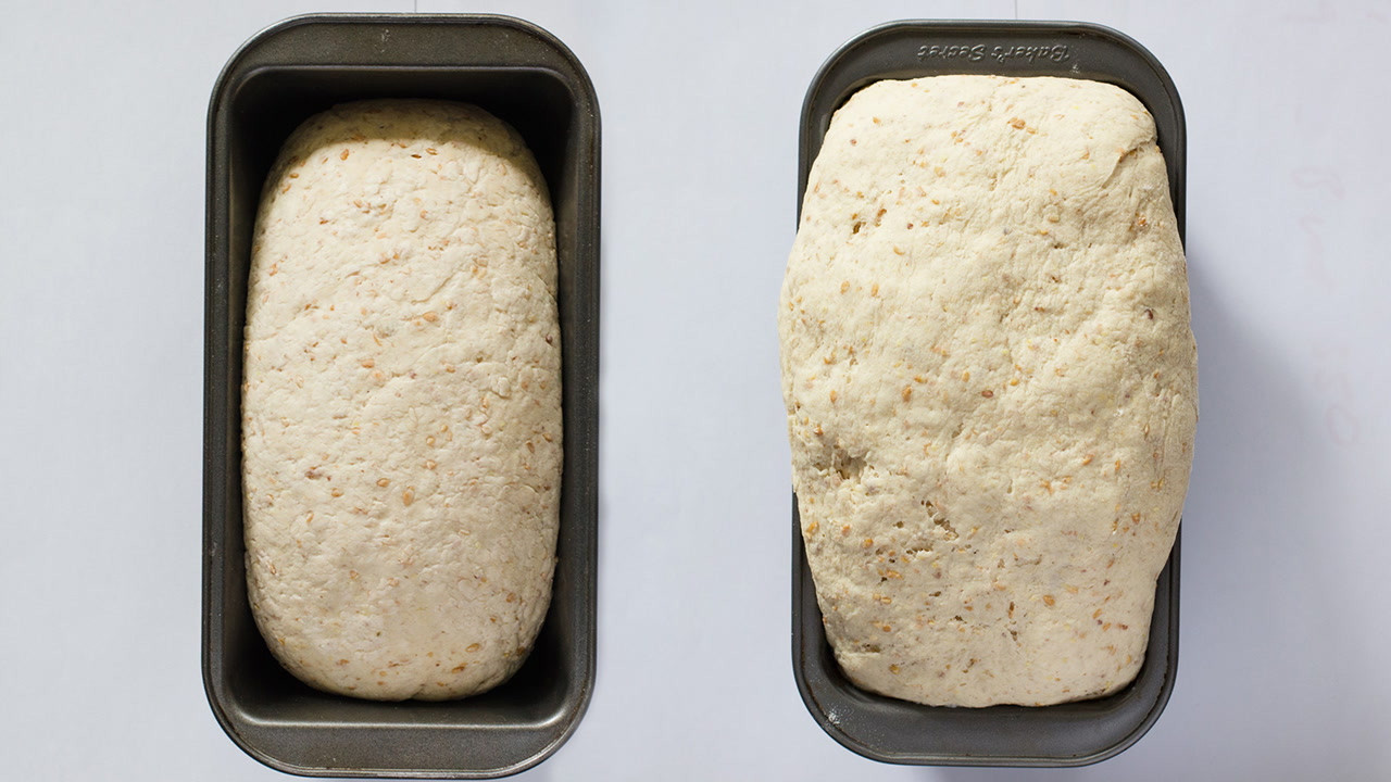 Jamie Oliver Grain Free Bread
 Rolled Bread Sandwich Bread Recipes
