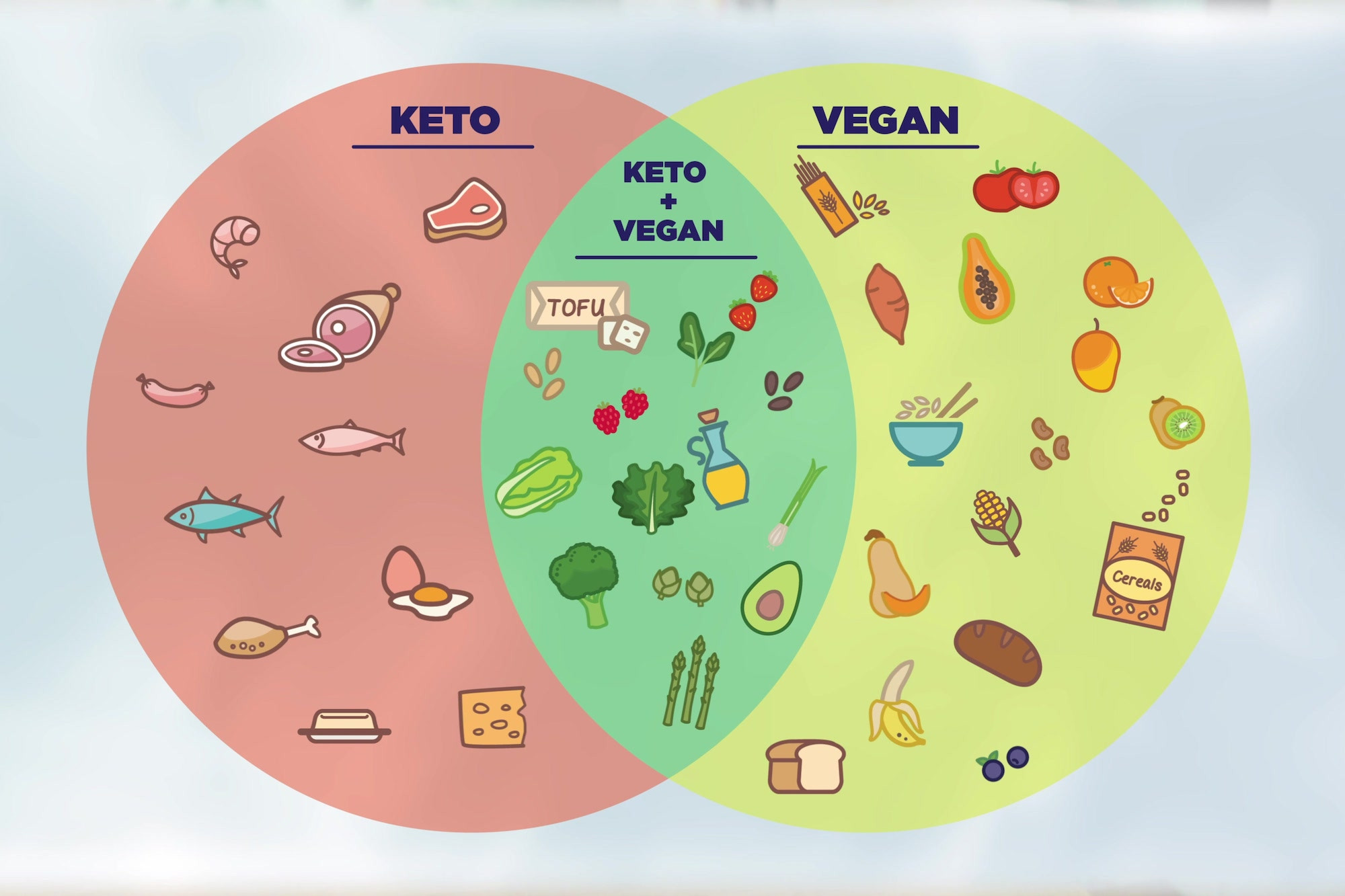 Keto Diet Meal Plan Vegetarian
 Keto vs Vegan Foods