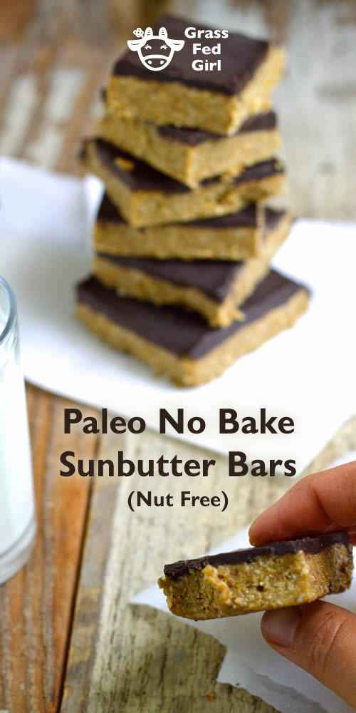 Nut Free Keto Desserts
 No Bake Keto Sunbutter Bar Recipe Nut Free Paleo Low Carb