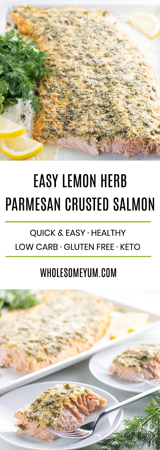Parmesan Crusted Salmon Keto
 Baked Lemon Herb Parmesan Crusted Salmon Recipe The