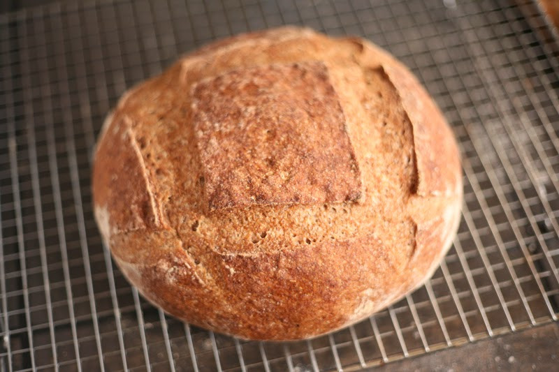 Psyllium Husk Bread Recipe
 Psyllium Husk Bread Recipe