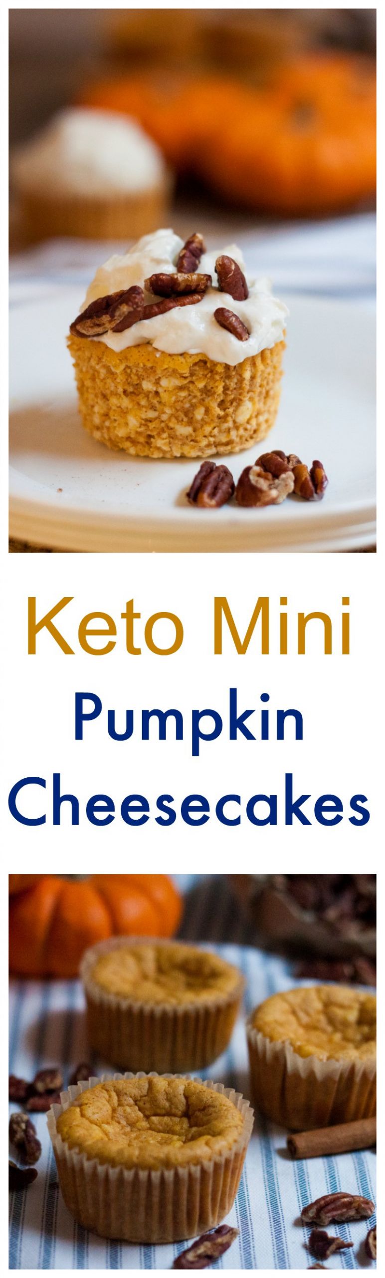 Pumpkin Keto Recipes Easy
 Mini Keto Pumpkin Cheesecake Recipe