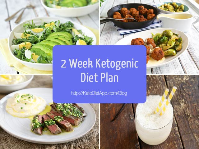 Two Week Keto Diet Plan
 2 Week Ketogenic Diet Plan