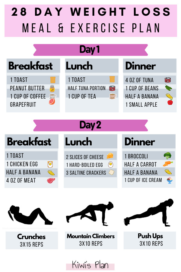 28 Day Weight Loss Meal Plan
 28 Day Weight Loss Meal & Exercise Plan Kiwi s Plan
