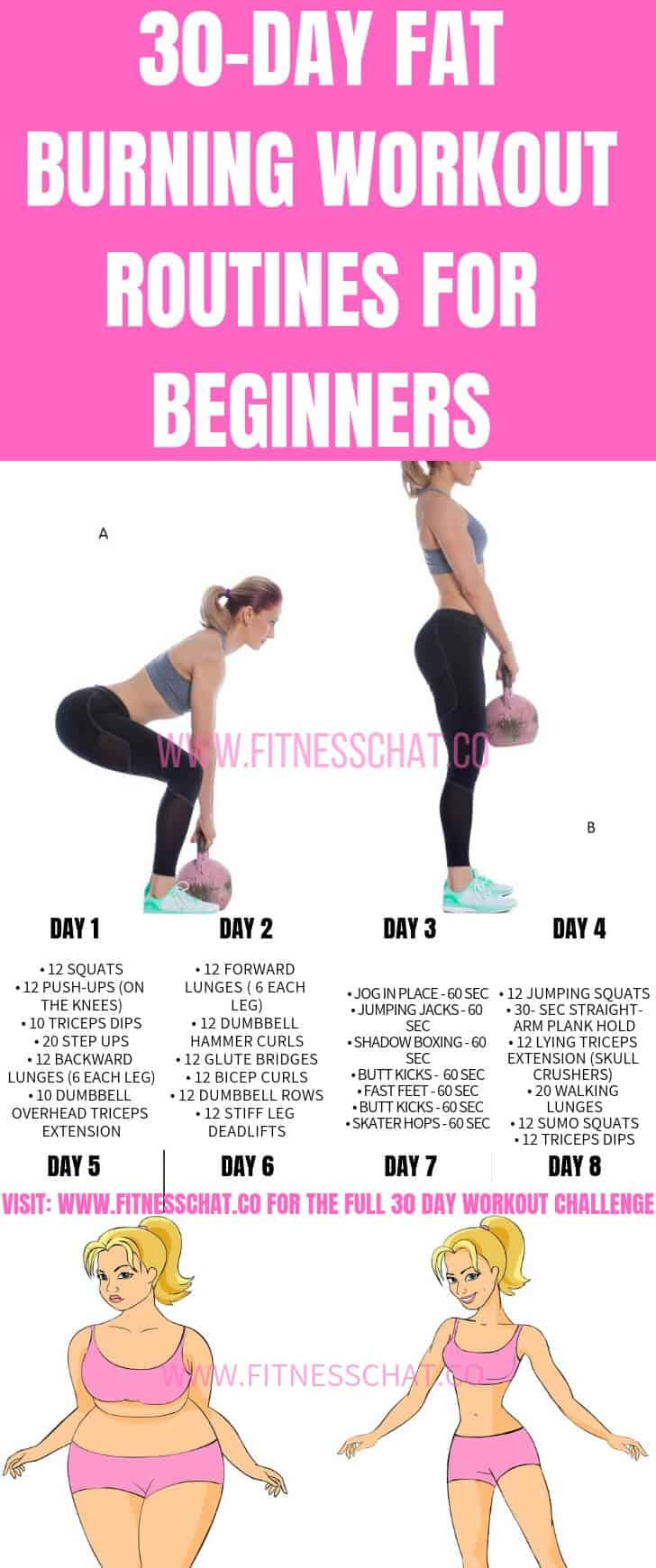 30 Day Fat Burning Workout
 30 Day Fat Burning Workout Routines for Beginners