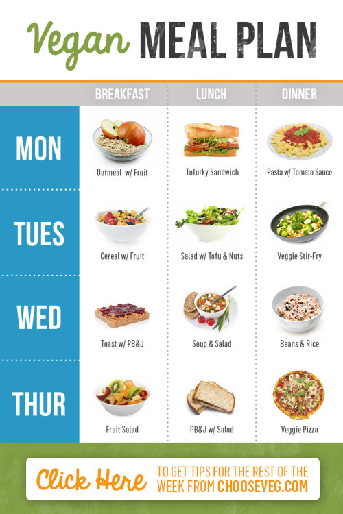8 Week Vegan Plan
 vegan meal plans