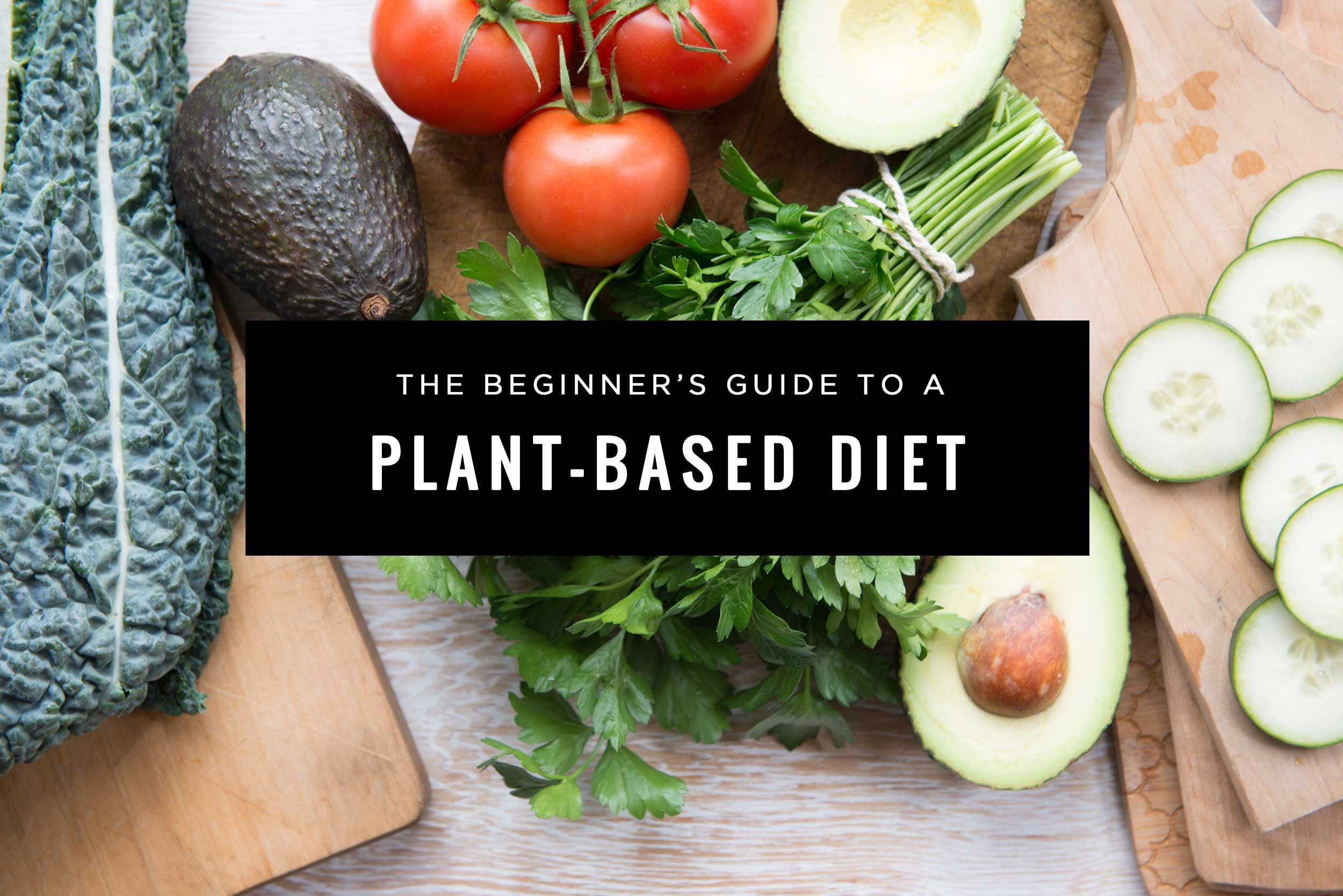 All Plant Based Diet
 The Beginner s Guide to a Plant based Diet