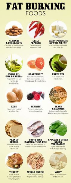 Back Fat Burning Foods
 Eat Small Meals 5 Times A Day Sample Menu Plan