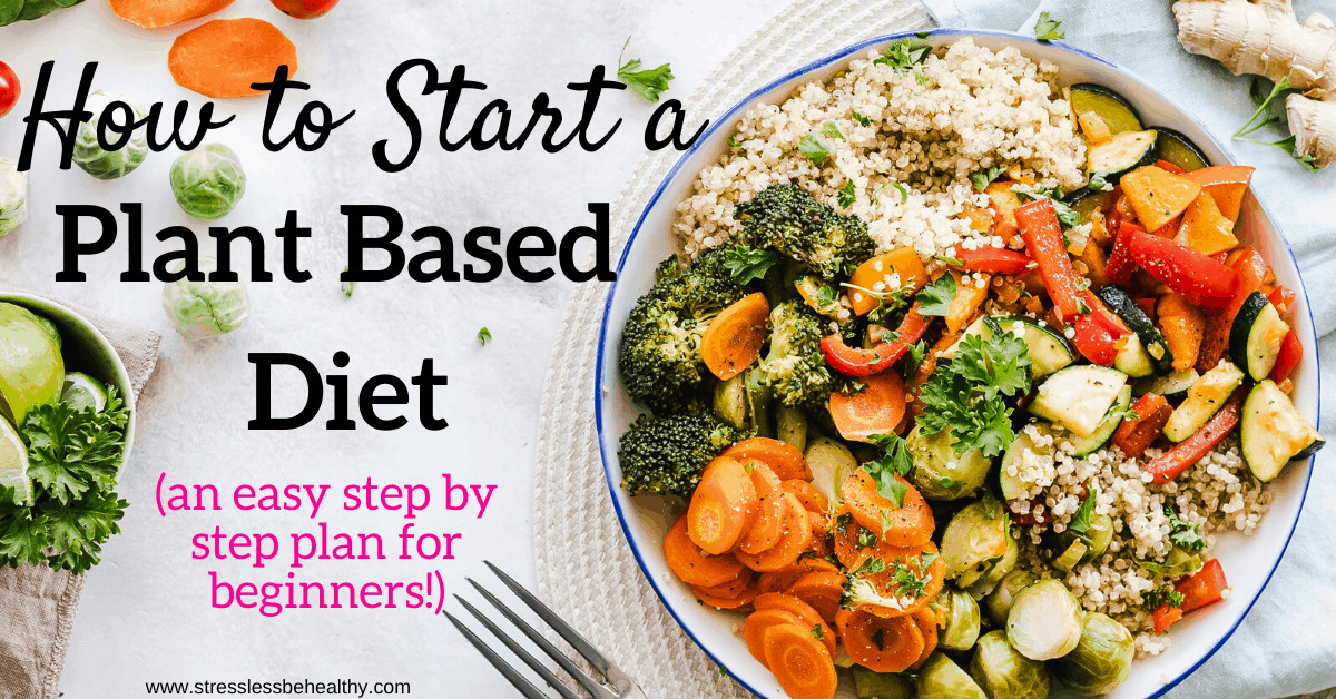 Beginning Plant Based Diet
 How to Start a Plant Based Diet