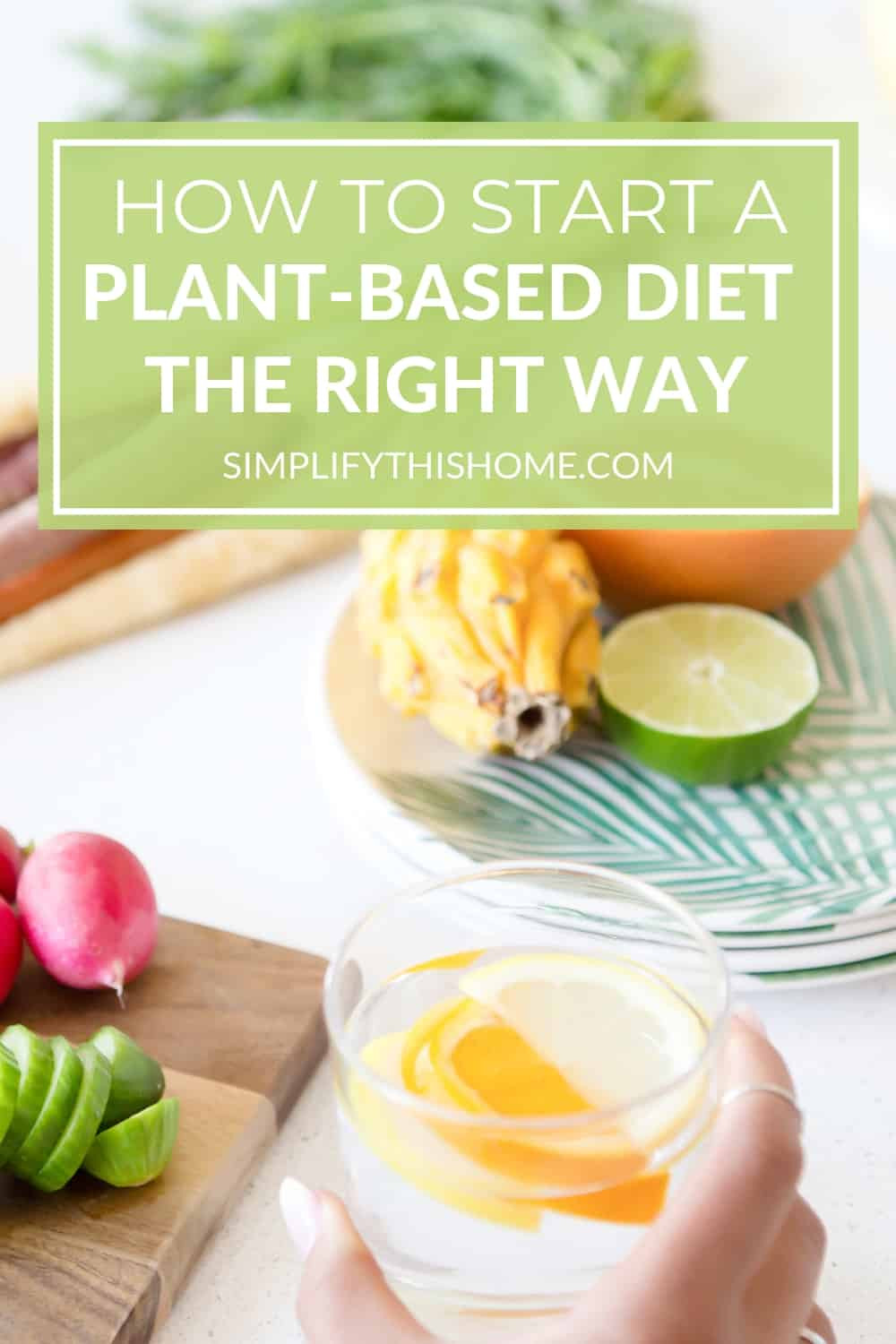 Beginning Plant Based Diet
 How to Start a Plant based Diet The Ultimate Guide for