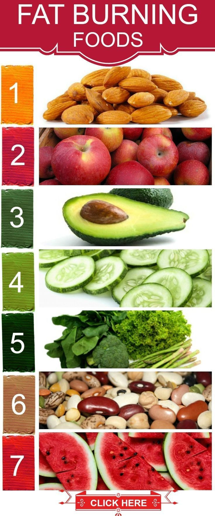 Bell Fat Burning Foods
 Top 10 Foods That Burn Belly Fat