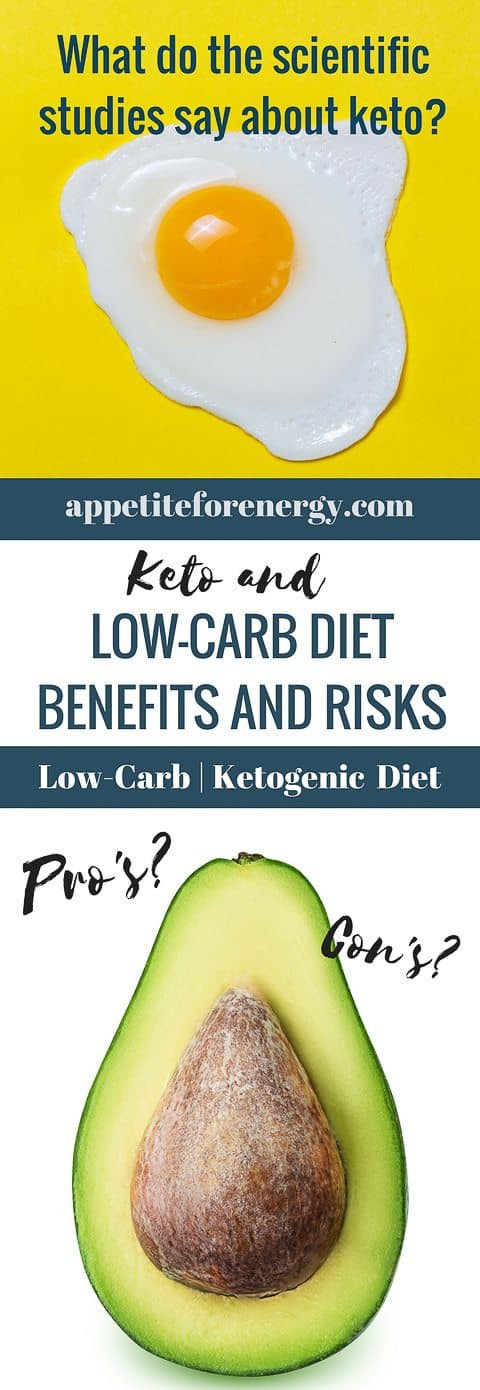 Benefits Of Low Carb Diet
 The Low Carb Diet Benefits and Risks