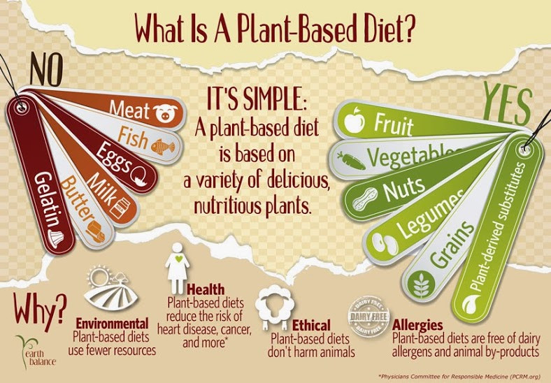 Benefits Of Plant Based Diet
 10 March 2014