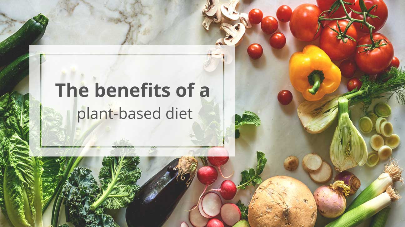 Benefits Of Plant Based Diet
 Plant Based Diet The Health Benefits