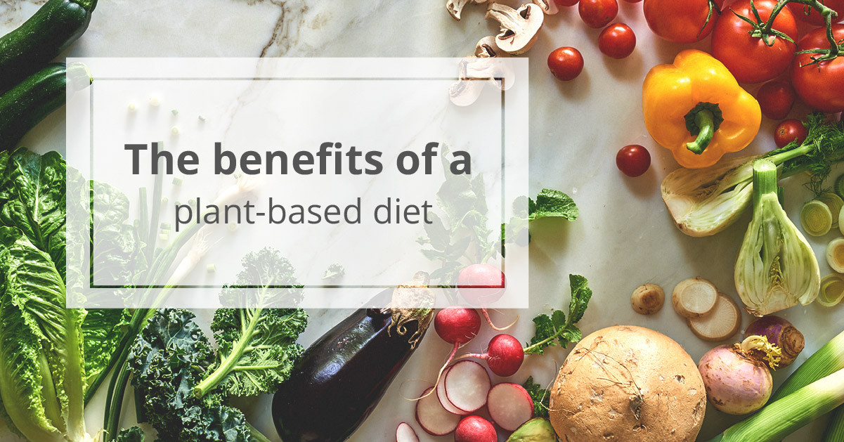 Benefits Of Plant Based Diet
 Plant Based Diet The Health Benefits