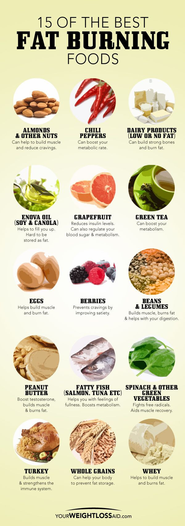 Best Stomach Fat Burning Foods
 15 Fat Burning Foods
