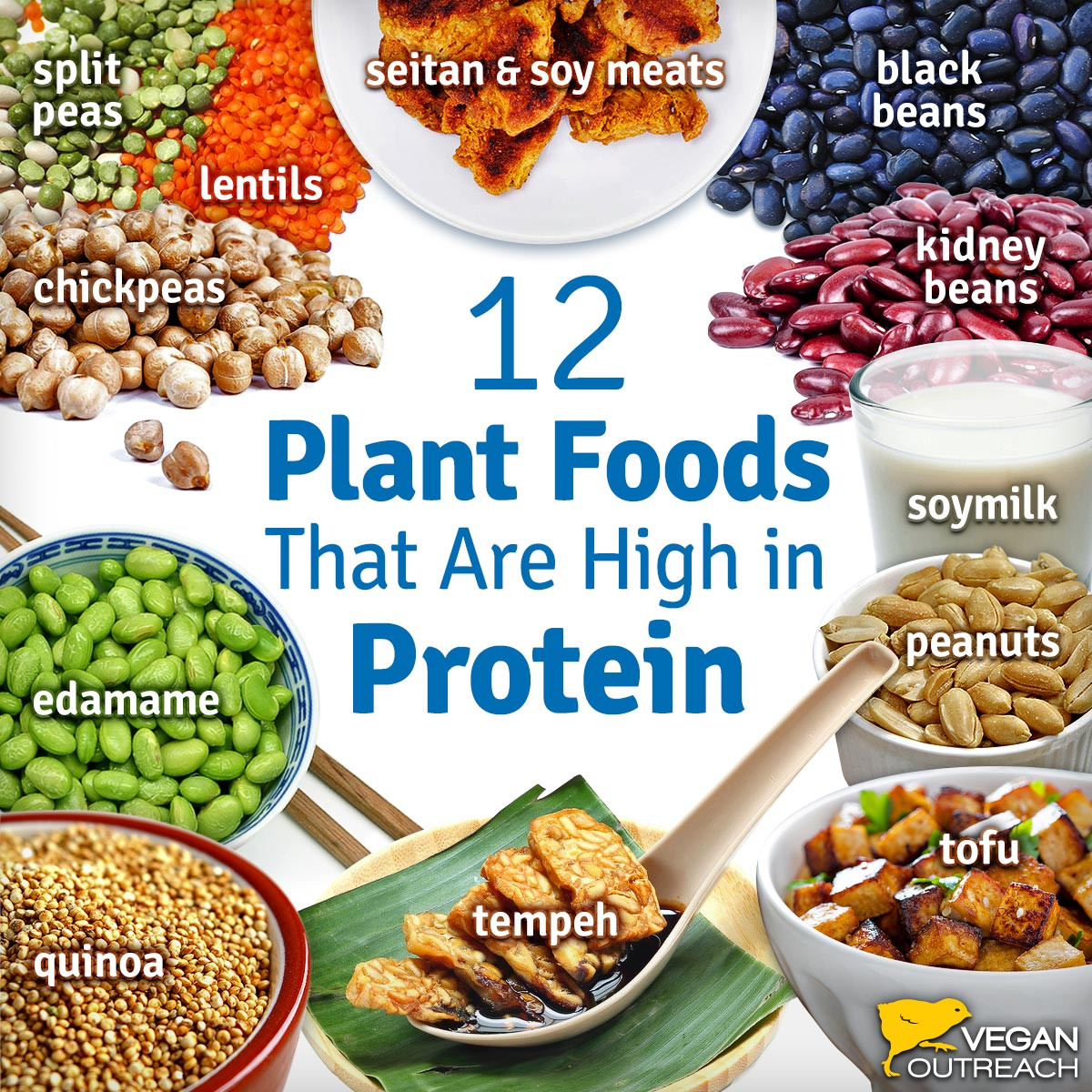Best Vegan Protein
 Vegan Protein Sources Familiar and Unique