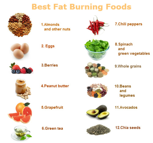 Body Fat Burning Foods
 Fat Burning Foods GOQii