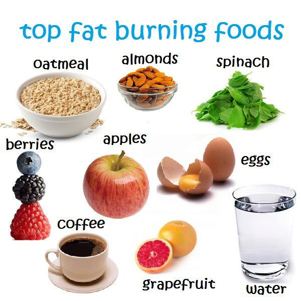 Body Fat Burning Foods
 Top Fat Burning Foods Fat Foods Pinterest