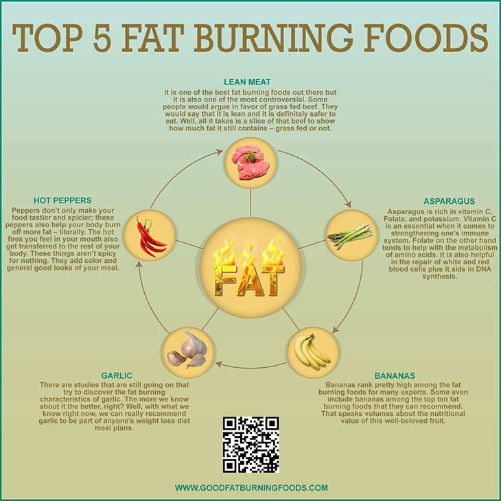 Body Fat Burning Foods
 Top 5 Fat Burning Foods