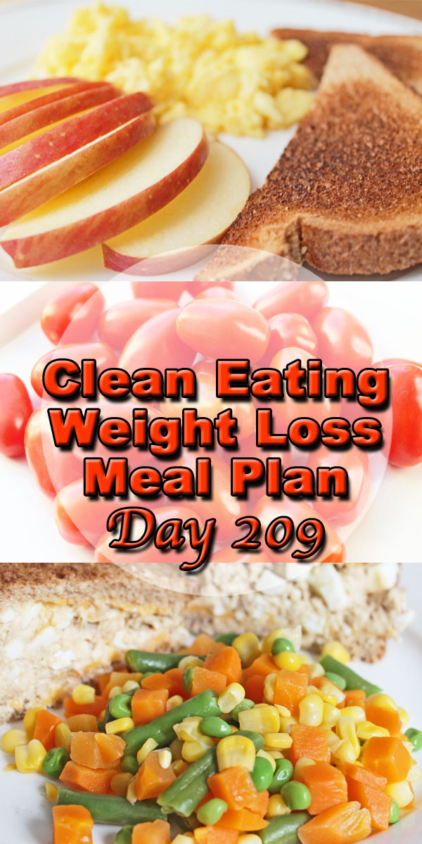 Cheap Easy Weight Loss Meal Plan
 Clean Eating Weight Loss Meal Plan 209