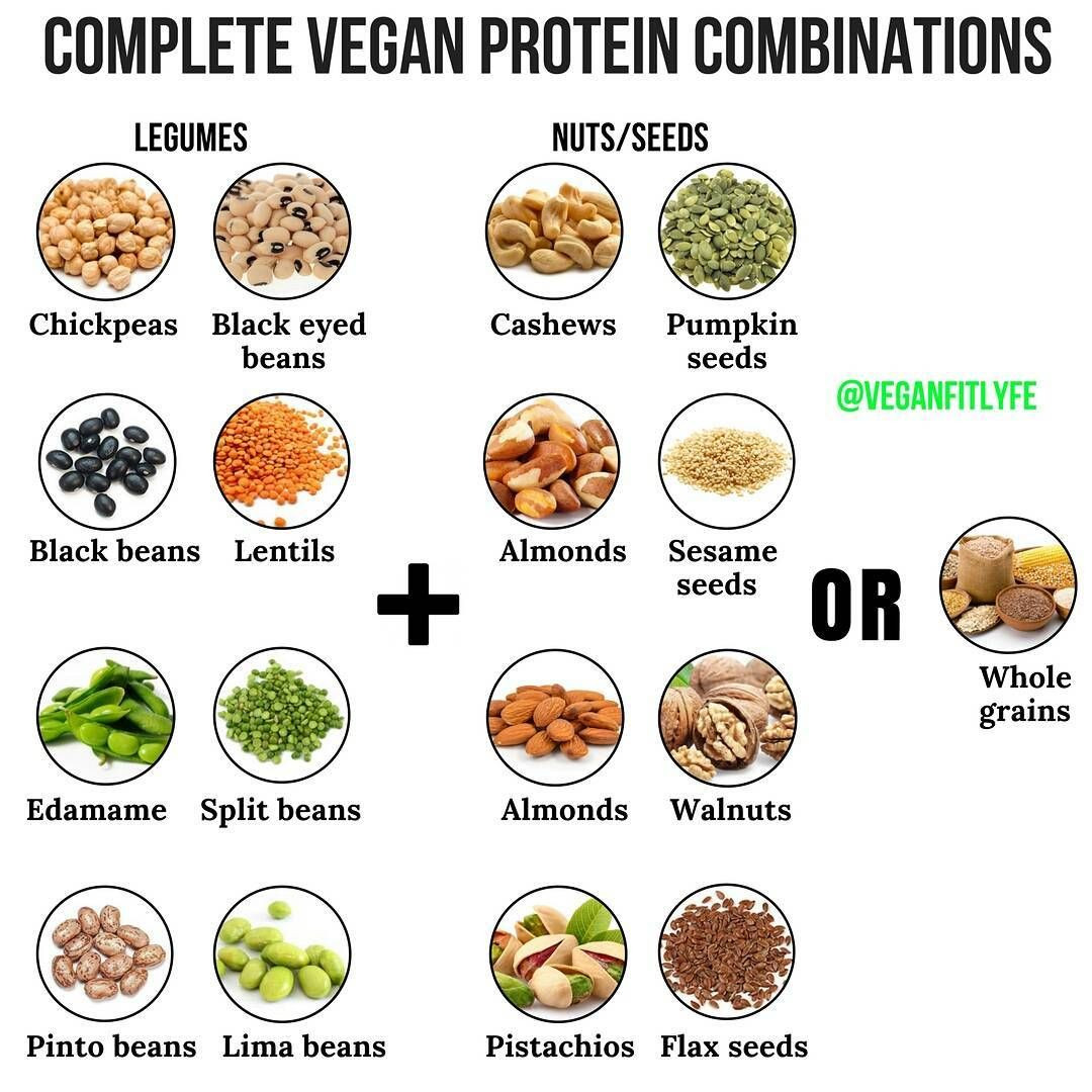 Complete Vegan Protein
 Vegan Fit Life on Instagram “ plete Protein