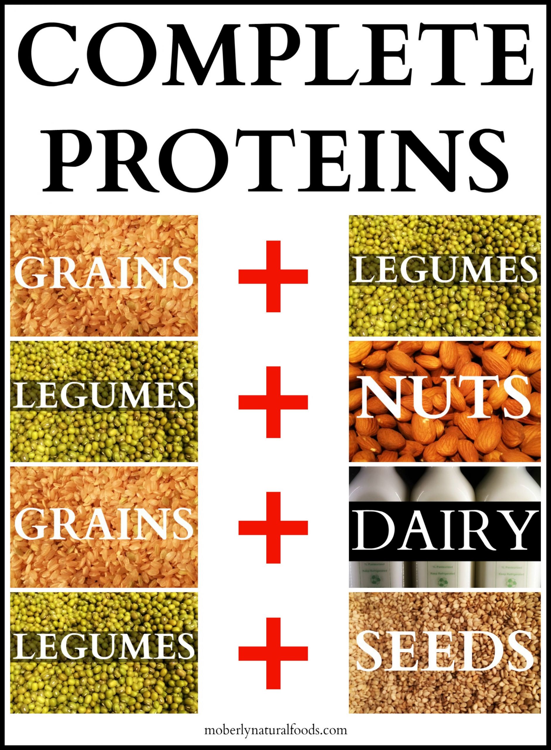 Complete Vegan Protein
 Help My Kids Are Ve arian Where Will They Get Their