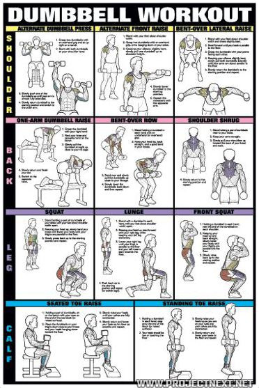 Dumbell Fat Burning Workout
 Dumbbell Workout PART 1 Fat Burning Sixpack Abs Exercise
